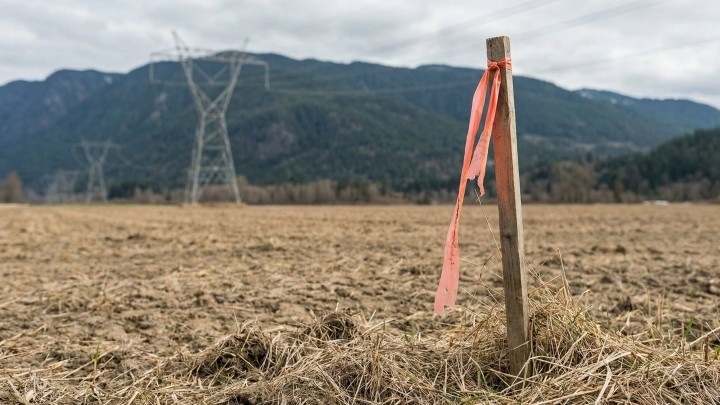 Вашингтон теряет миллиарды: бюрократия тормозит развитие чистой энергетики
