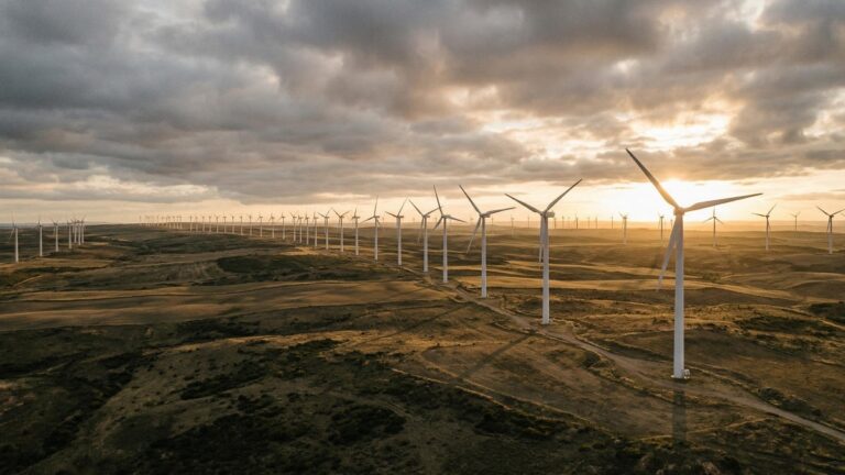 Индия и Китай стали лидерами по запуску новых ветроэлектростанций